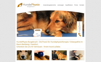 hundephysio-burgebrach.de screenshot