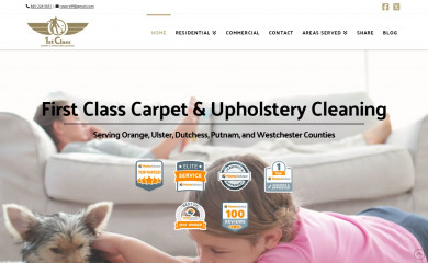 hvcarpetcleaning.com screenshot