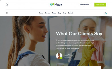 Hygia Child Theme screenshot