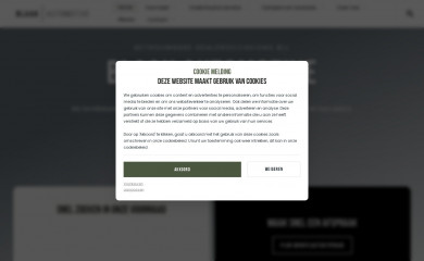 hyundairidderkerk.nl screenshot