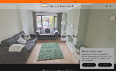 haanzpainter.co.uk screenshot