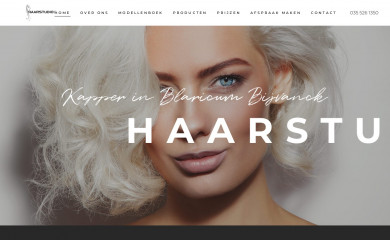 haarstudio5.nl screenshot