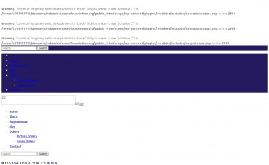 habeebokunolafoundation.org screenshot