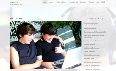 hakukoneoptimointiopas.com screenshot