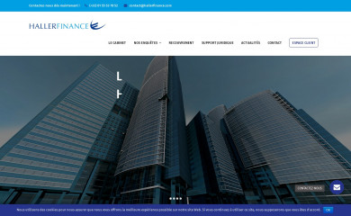 hallerfinance.com screenshot