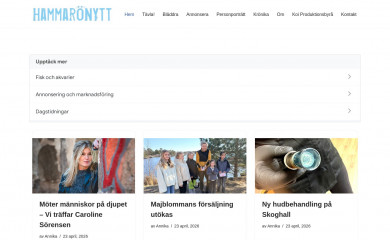 hammaronytt.se screenshot