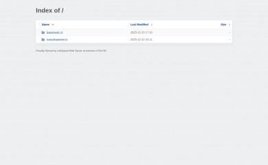 hammer.cl screenshot