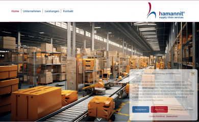 hamannit-scs.de screenshot