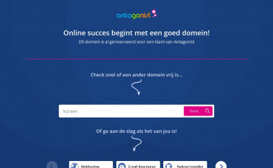 hannekepeterscouture.nl screenshot