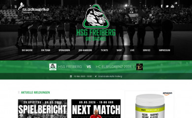 handball-in-freiberg.de screenshot