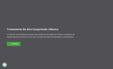 hankison.mx screenshot