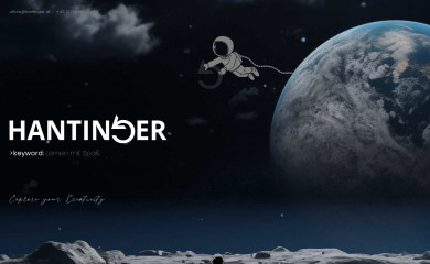 hantinger.at screenshot