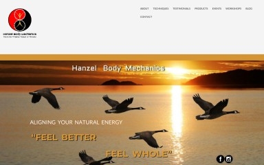 hanzelbodymechanics.com screenshot