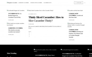 happinesscucumber.com screenshot
