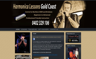harmonicalessonsgoldcoast.com.au screenshot