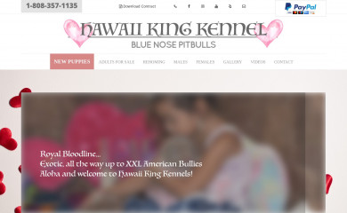 hawaiikingkennels.com screenshot