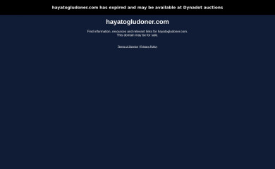 hayatogludoner.com screenshot