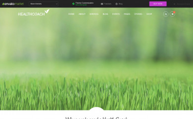 https://healthcoach.stylemixthemes.com/ screenshot