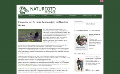heikobellmann.de screenshot