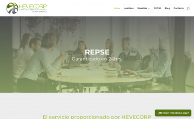 hevecorp.com.mx screenshot