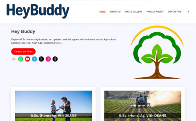 heybuddycheck.com screenshot