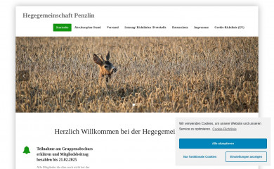 hg-penzlin.de screenshot