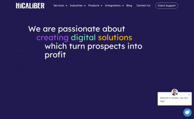 Hicaliber Theme - Customize Site screenshot