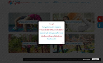 hifivegym.pl screenshot