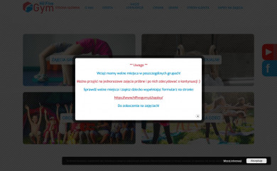hifivegym.pl screenshot