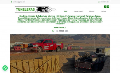 hincadodetuberia.cl screenshot