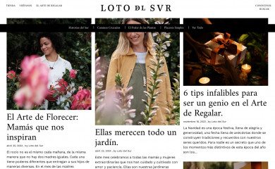 historiasdelsur.com screenshot