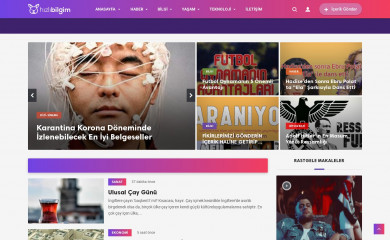 hizlibilgim.com screenshot