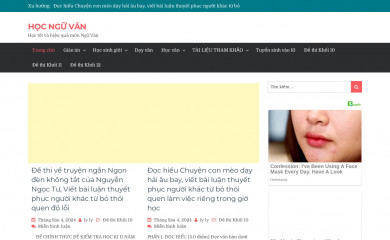 hocnguvan.net screenshot