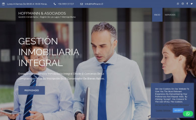 hoffmann.cl screenshot
