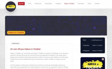 hokenintoldiek.nl screenshot