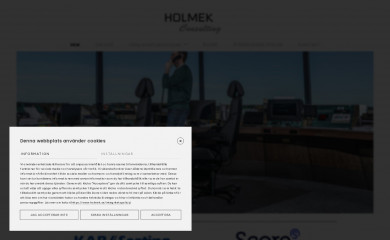 holmekconsulting.com screenshot