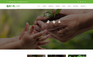 holismoambiental.cl screenshot