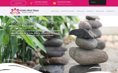 holisticmindsteps.com screenshot