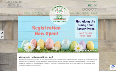 hollabaughbros.com screenshot