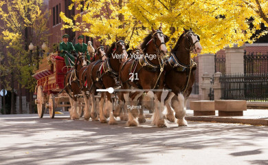 holstondistributing.com screenshot