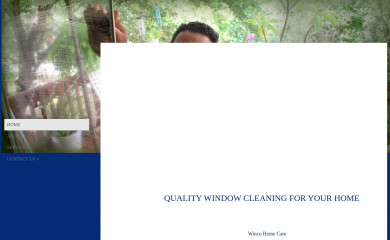 homewindowcleaning.org screenshot