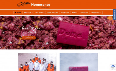 homesenseghana.com screenshot