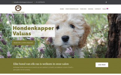 hondenkappervaluas.nl screenshot