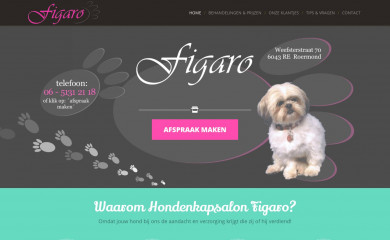 hondenkapsalonfigaro.nl screenshot