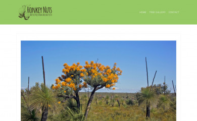 honkeynuts.com.au screenshot