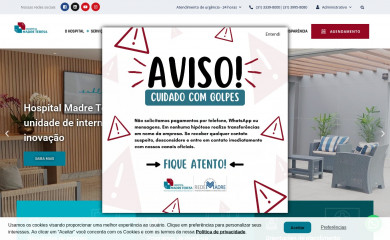 hospitalmadreteresa.org.br screenshot