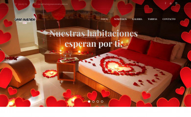 hotelgranavenida.com.co screenshot