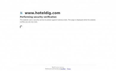 hoteldig.com screenshot