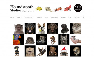 houndstoothstudio.com.au screenshot