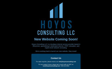 hoyosconsulting.com screenshot